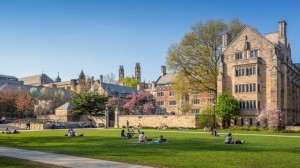 Harambe Entrepreneur Alliance Fully-funded MBA Scholarships At Yale University, USA